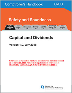 Capital and Dividends Cover Image