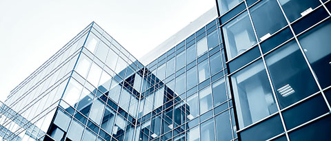 Organization Organization